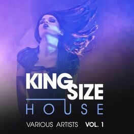 Album cover of King Size House, Vol. 1