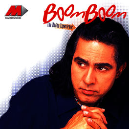 Album cover of Boom Boom - The Biddu Experience
