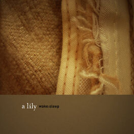 Album cover of wake:sleep