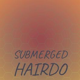 Album cover of Submerged Hairdo