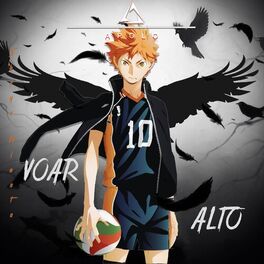 Album cover of Nasci pra voar (Hinata Shoyo)