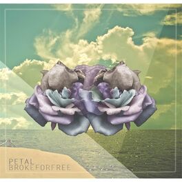 Album cover of Petal