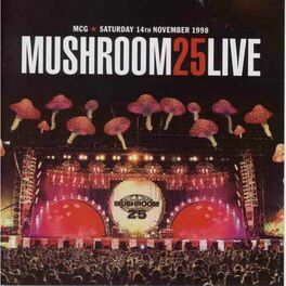 Album cover of Mushroom 25 (Live)