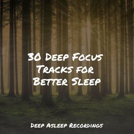 Album cover of 30 Deep Focus Tracks for Better Sleep