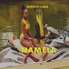 Album cover of Namela (feat. DANKO)