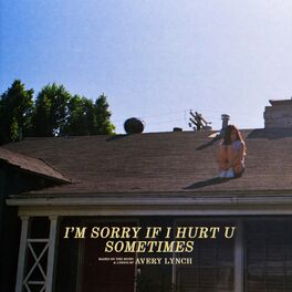 Album cover of i’m sorry if i hurt u sometimes