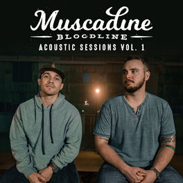 Album cover of Acoustic Sessions Vol. 1