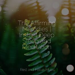 Album cover of The Affirming Melodies | Instant Deep Sleep and Meditation
