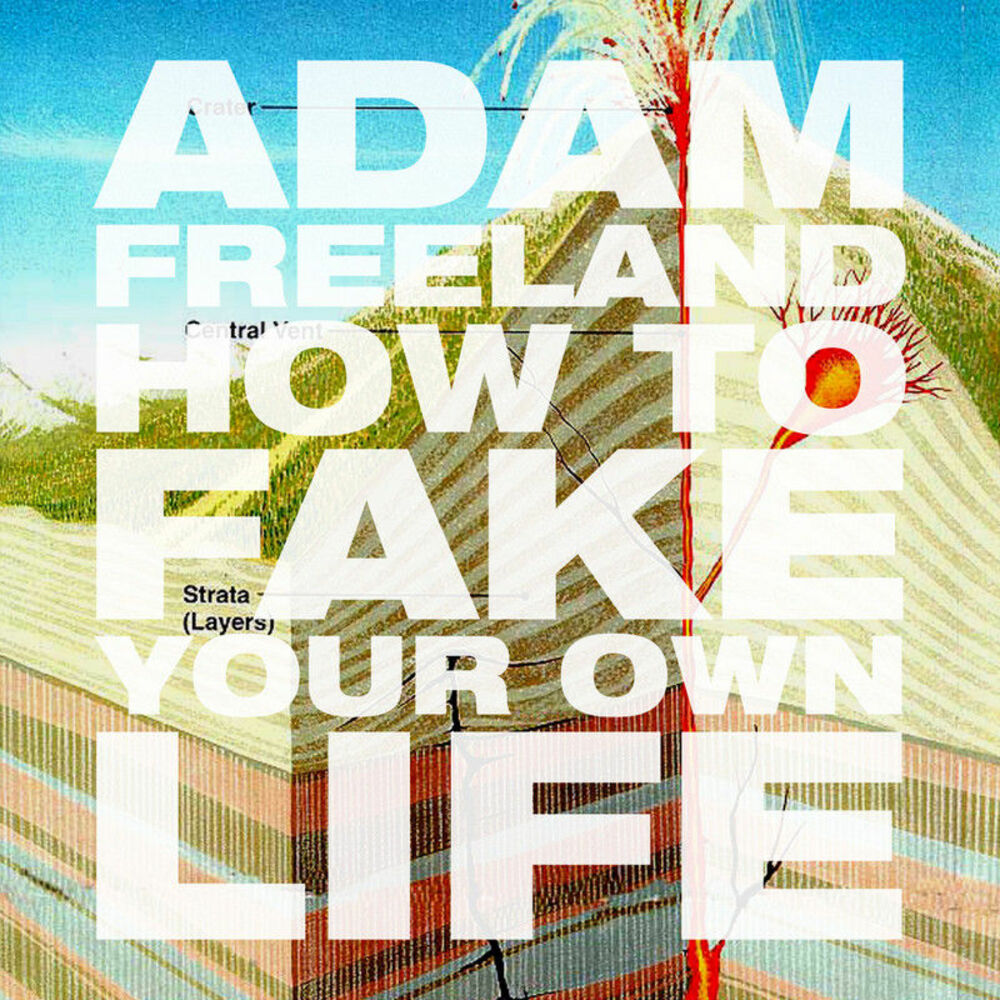 Own life. Adam Freeland - Now & them. Adam Freeland ‎– on Tour. Adam Freeland - Now & them (2003). Adam Freeland – do you.