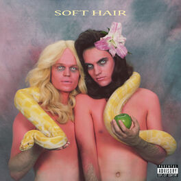 Album cover of Soft Hair