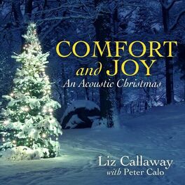 Album cover of Comfort and Joy (An Acoustic Christmas)