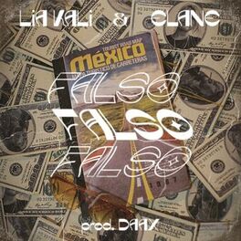 Album cover of Falso