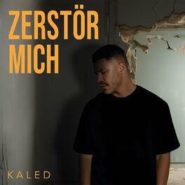 Album cover of Zerstör mich