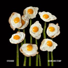 Album cover of Skunk And Stump