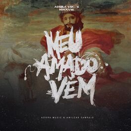 Album cover of Meu Amado Vem
