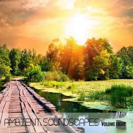 Album cover of Ambient SoundScapes, Vol 8