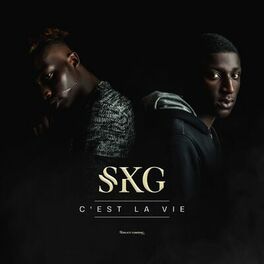 Album cover of C'est la vie