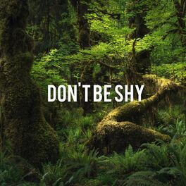Album cover of Don't Be Shy (feat. Music Falcon)