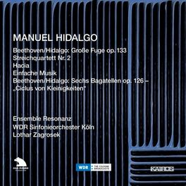 Album cover of Manuel Hidalgo: Beethoven