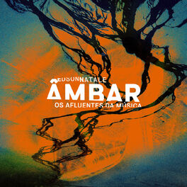 Album cover of Âmbar - os Afluentes da Música
