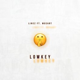 Album cover of Lowkey