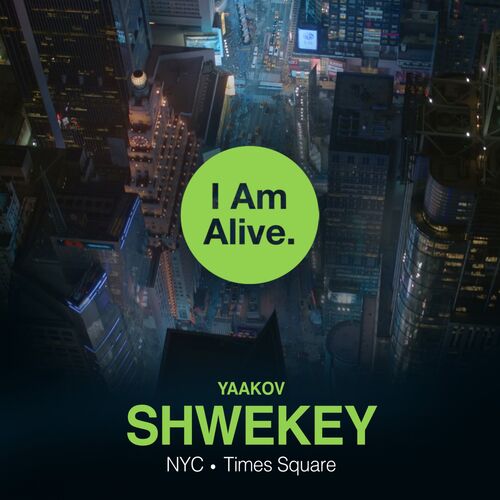 i am alive yaakov shwekey