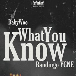 Album cover of What You Know
