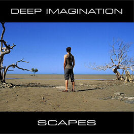 Album cover of Scapes