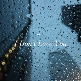 Album cover of I Don’t Love You