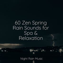 Album cover of 60 Zen Spring Rain Sounds for Spa & Relaxation