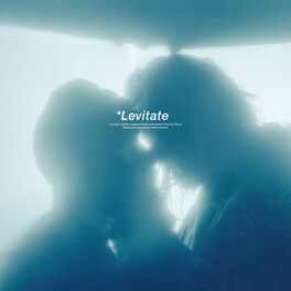 Album cover of Levitate (It's All Too Perfect)
