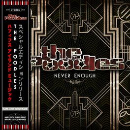Album cover of Never Enough (Japan Bonus Track)