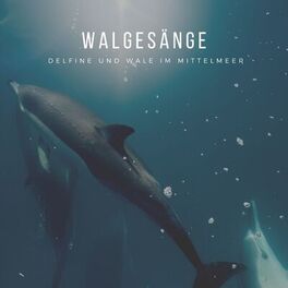 Album cover of Walgesänge – Delfine und Wale im Mittelmeer
