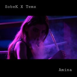 Album cover of Amina (feat. Temz)