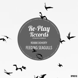 Album cover of Feeding Seagulls