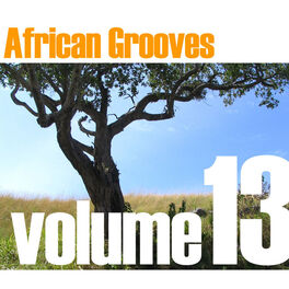 Album cover of African Grooves Vol.13