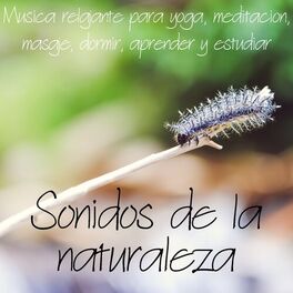 Album cover of Sonidos de la naturaleza – Musica relajante para yoga, meditacion, masaje, dormir, aprender y estudiar