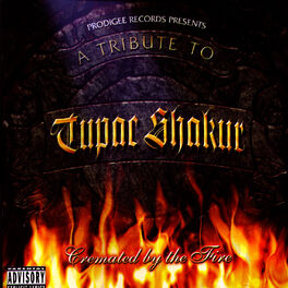 Album cover of A Tribute to Tupac