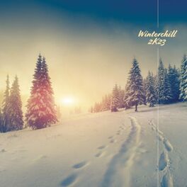 Album cover of Winterchill 2k23