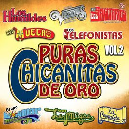 Album cover of Puras Chicanitas De Oro Vol. 2