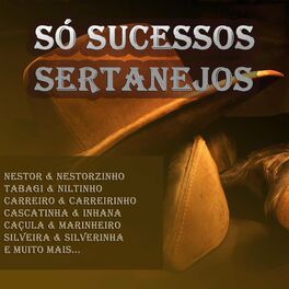 Album cover of Só Sucessos Sertanejos