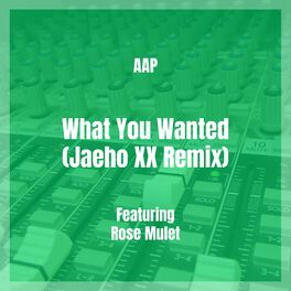 Album cover of What You Wanted (Jaeho XX Remix)