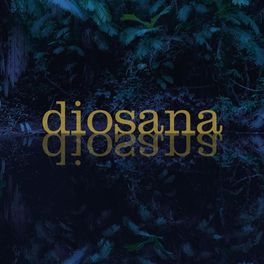 Album cover of Diosana