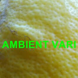 Album cover of Ambient vari