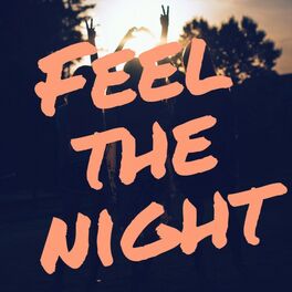 Album cover of Feel the Night