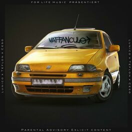 Album cover of Vaffanculo