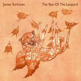 Album cover of The Year Of The Leopard