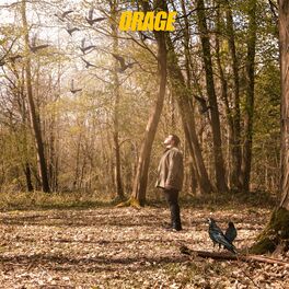 Album cover of Orage