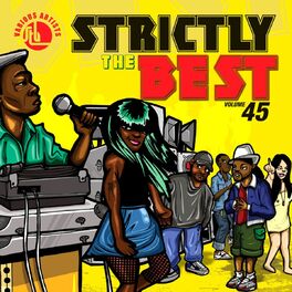 Album picture of Strictly The Best Vol. 45