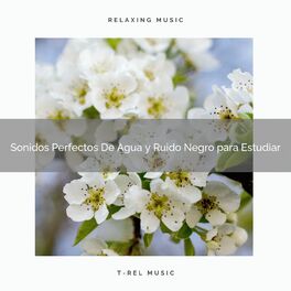 Album cover of Sonidos Perfectos De Agua y Ruido Negro para Estudiar